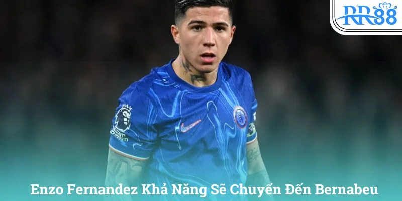 Enzo Fernandez đang được đội bóng hoàng gia Tây Ban Nha đưa vào tầm ngắm