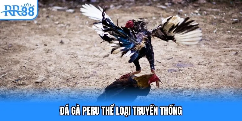 Đá gà Peru thể loại truyền thống