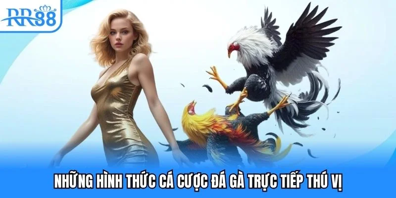 Những hình thức cá cược đá gà trực tiếp thú vị