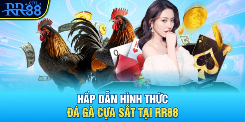 Hấp dẫn hình thức đá gà cựa sắt tại RR88