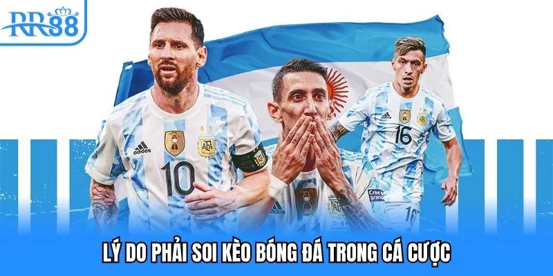 Lý do phải soi kèo bóng đá trong cá cược