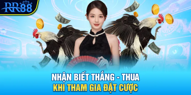Nhận biết thắng và thua tại sảnh trực tiếp đá gà cựa sắt
