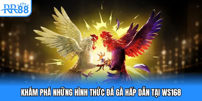 Khám phá những hình thức đá gà hấp dẫn tại WS168